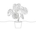 One line drawing of monstera in a flowerpot. Continuous one line of monstera exotic tropical plant bush in pot. Vector